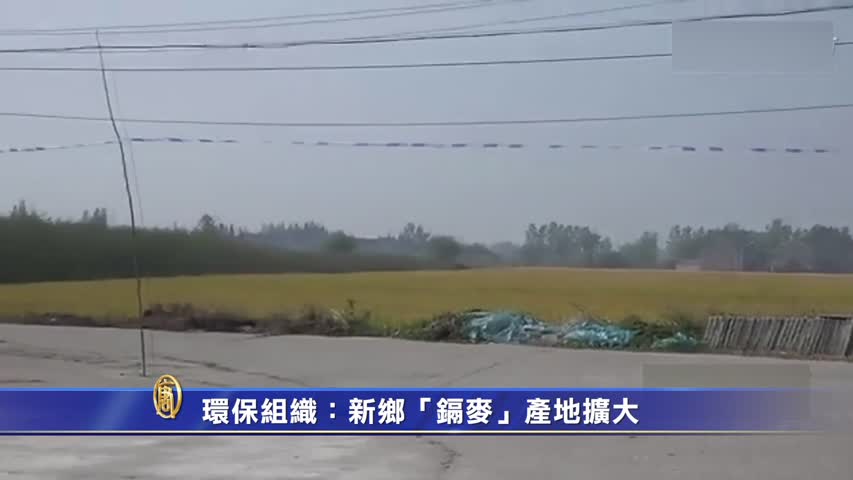 【禁闻】环保组织：新乡「镉麦」产地扩大