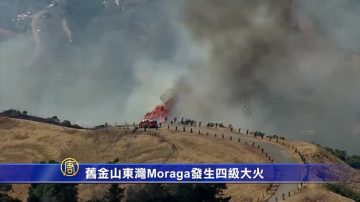 旧金山东湾Moraga发生四级大火