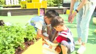 草悟廣場造可食地景 學童當一日都市農夫