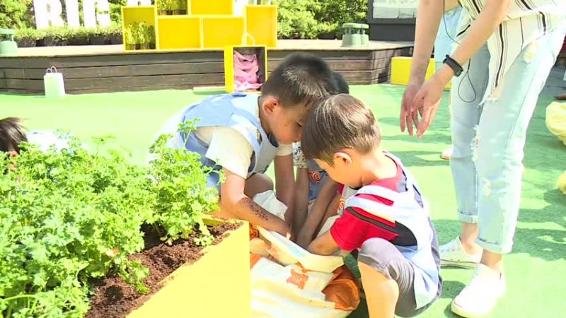 草悟廣場造可食地景 學童當一日都市農夫