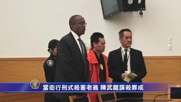 當街行刑式殺害老翁 陳武龍謀殺罪成