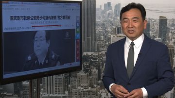 石涛：公安和情报系统大换血 效仿军队大整肃