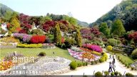 【你好韩国】韩国最美季节4大旅游胜地
