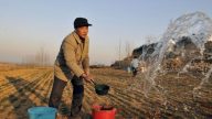 山东旱情持续加重   果农无奈买水浇田