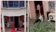 浙江不孝子拖行老病母10多米 网友：看着好心疼（视频）