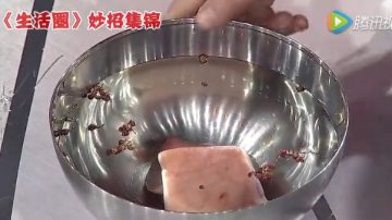 在水里加点这东西，生肉放3天照样新鲜！