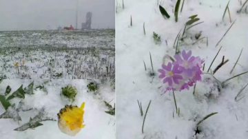 承德六月再度飞雪  网友：必有冤情