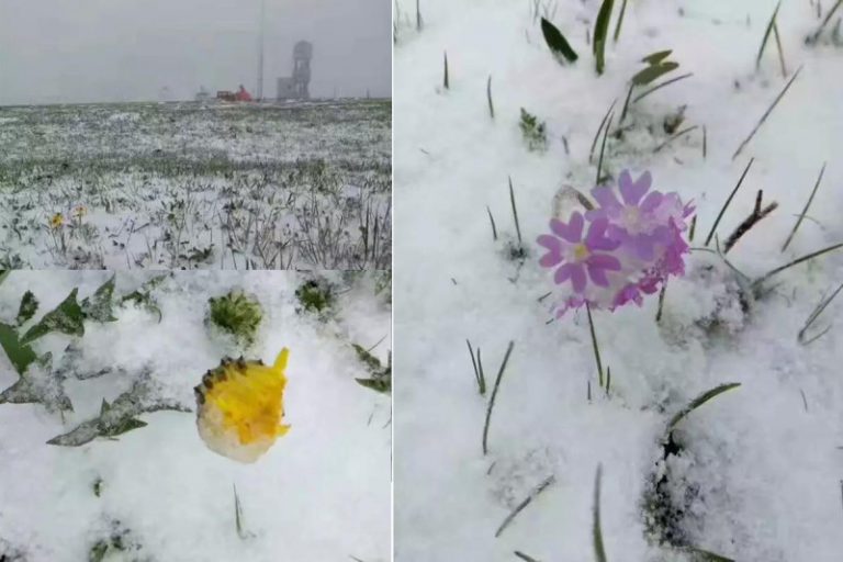 承德六月再度飛雪  網友：必有冤情