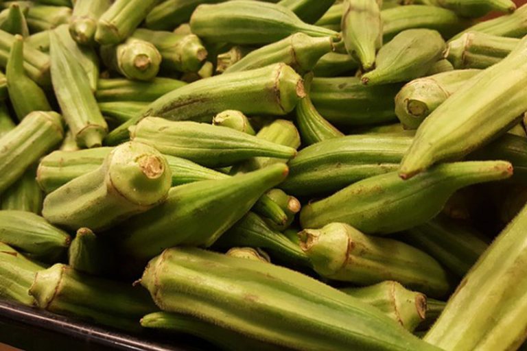 七大蔬菜 補腎、抗癌、防感冒