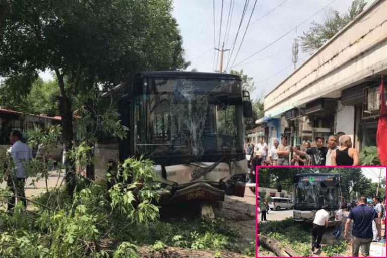 津老婦橫穿馬路致巴士失控 反稱受驚嚇向司機索賠