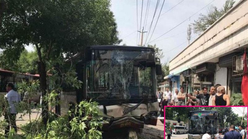 津老妇横穿马路致巴士失控 反称受惊吓向司机索赔