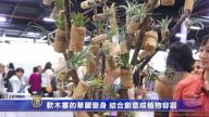 軟木塞的華麗變身 結合創意成植物容器