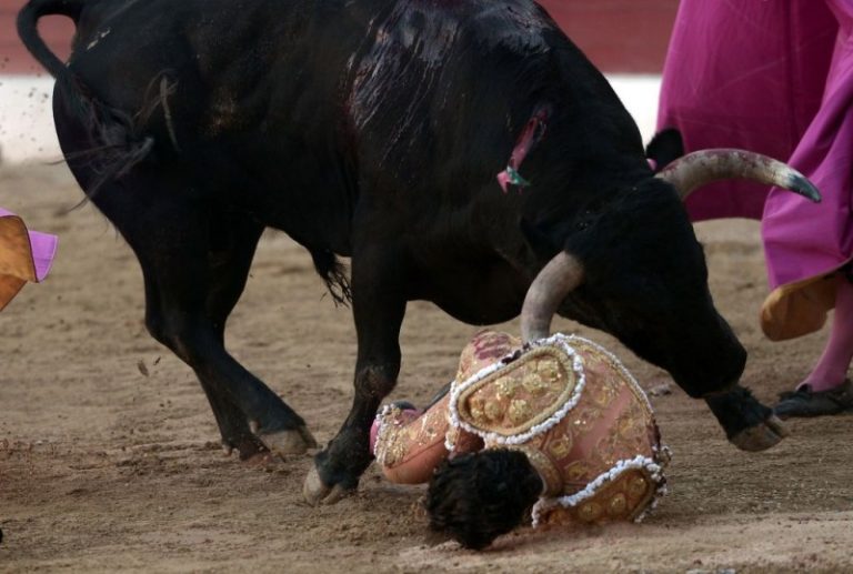 遭牛撞飛刺傷肺 西班牙鬥牛士不治身亡(慎入)