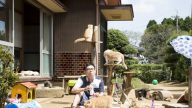 玩家人次突破2000万  知名手机游戏真“猫”化电影