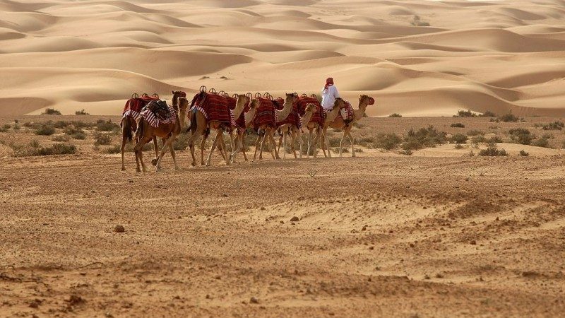 中国游客迪拜失踪 沙漠现遗体 曝出境游弊端