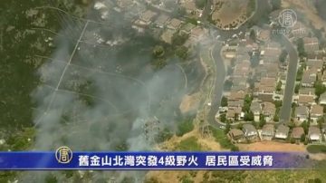 旧金山北湾突发4级野火 居民区受威胁