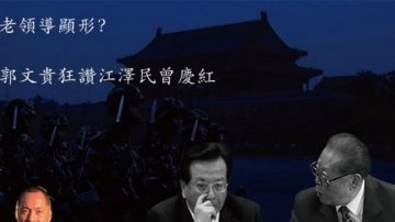 港媒：劉雲山賈春旺捲入海外爆料 江澤民身影隱現