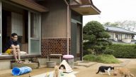 喵星人挑战猫界奥斯卡 《猫咪收集之家》一次到位不NG