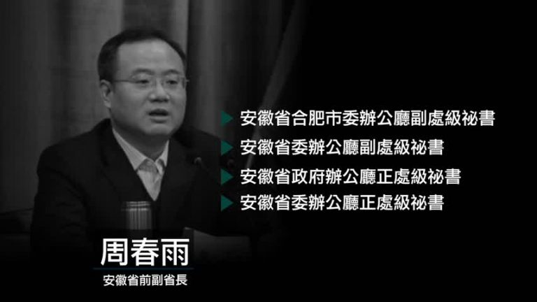 安徽省前副省長周春雨被審查