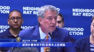 紐約市重鎚滅鼠？華埠成為重點地區