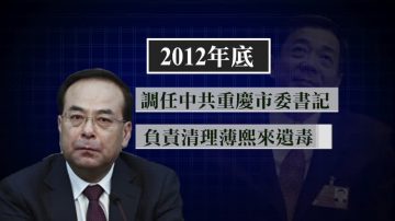 重庆市委书记孙政才被免 未能根除薄熙来遗毒