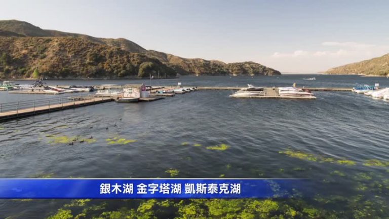 洛東側三湖爆毒藻 對兒童及寵物威脅大