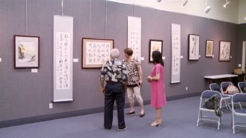 墨海书画研究会书画展 老外秀书法