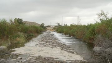 圣谷地下水渐回升 水局鼓励节水给奖励