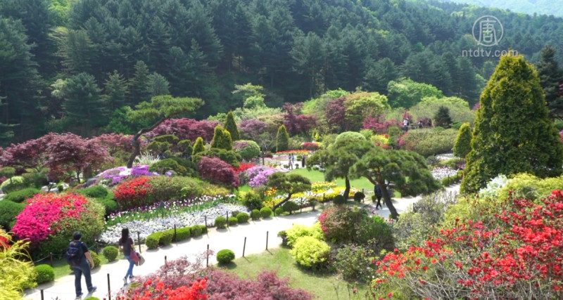 游韩国京畿道加平 体验夏季浪漫风情