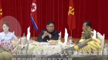 李雪主亮相宴会 两细节示与金正恩貌合神离（视频）