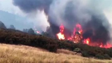 狄威勒山火造成7万亩焦土 比邻优胜美地