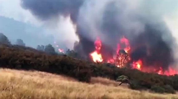 狄威勒山火造成7万亩焦土 比邻优胜美地