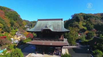 【你好日本】古都鐮倉覽勝