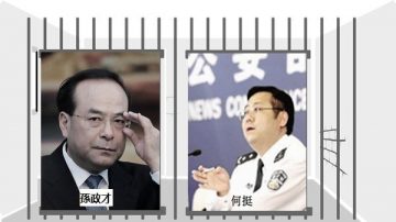 何挺供出孙政才养情妇为“登基”留种 习闻报大怒