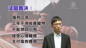 华裔虐狗案宣判 中国留学生获缓刑3年