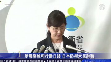 涉隐瞒维和行动日志 日本防卫大臣辞职