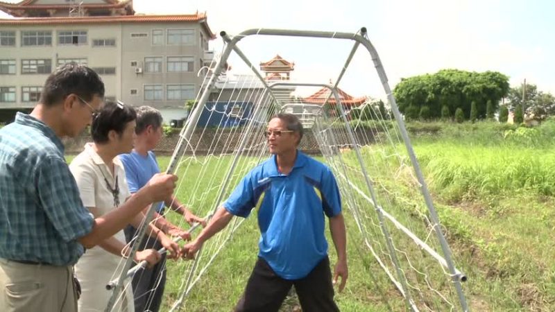 活到老学到老 达人带路教乐龄族有机栽种