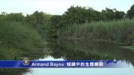 Armand Bayou自然中心 城鎮中的生態樂園
