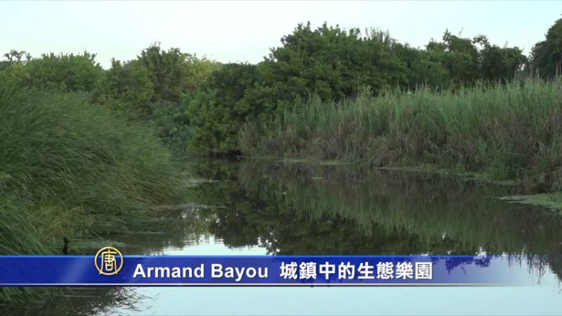 Armand Bayou自然中心 城镇中的生态乐园