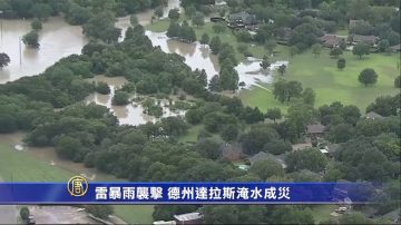 雷暴雨袭击 德州达拉斯淹水成灾