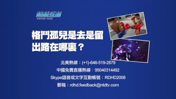 【预告】热点互动：格斗孤儿是去是留 出路在哪里？