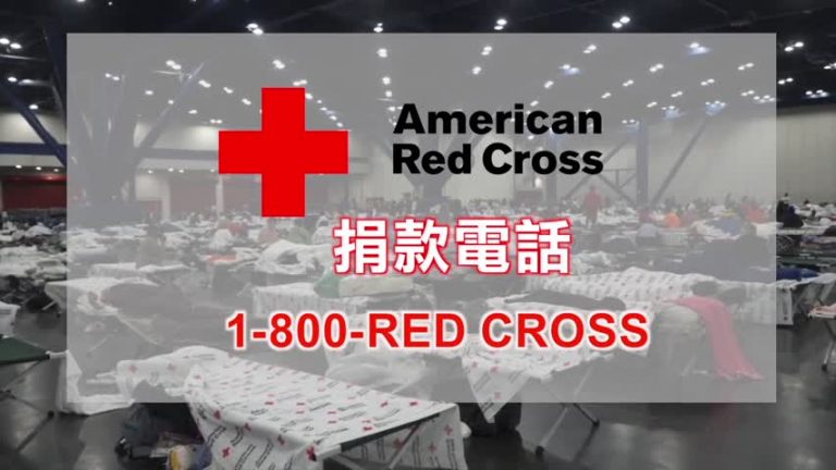 哈維重創德州 外州民眾捐款方式總結