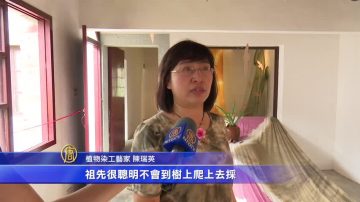 植物染結合民謠詩詞呈現恆春半島之美