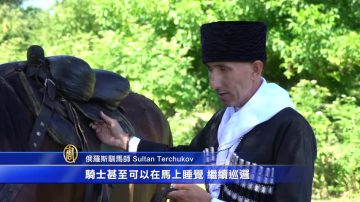 俄羅斯傳統馬上用具 枕頭和天價馬鞍