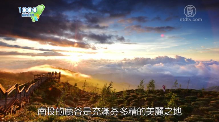 1000步的繽紛台灣：南投鹿谷 你不能不知道的台灣秘境