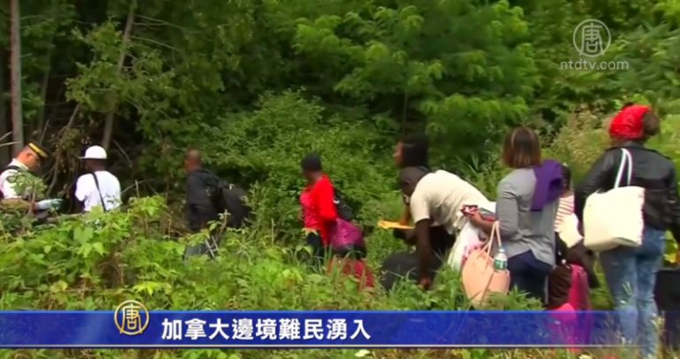 加拿大邊境難民湧入