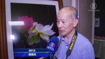 荷花大王韓國民 攝影作品有靈魂