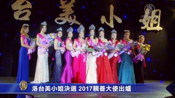 洛台美小姐决选 2017亲善大使出炉