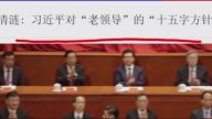 【今日点击】习近平对“老领导”十五字方针