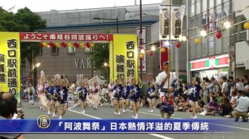 “阿波舞祭”日本热情洋溢的夏季传统